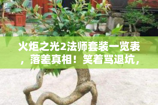 火炬之光2法师套装一览表，落差真相！笑着骂退坑，笑着笑着哭了，法师套装成执念