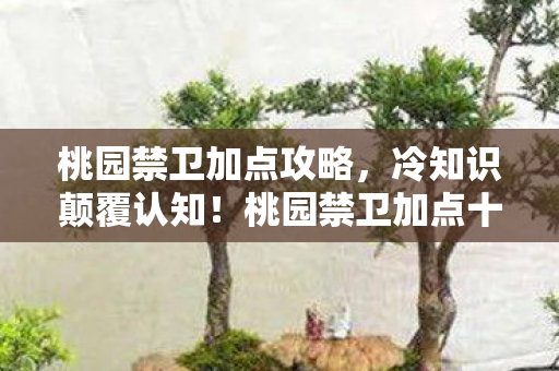 桃园禁卫加点攻略,冷知识颠覆认知!桃园禁卫加点十年误区,真相让人目瞪口呆! 桃园禁卫加点攻略,冷知识颠覆认知!桃园禁卫加点十年误区,真相让人目瞪口呆!