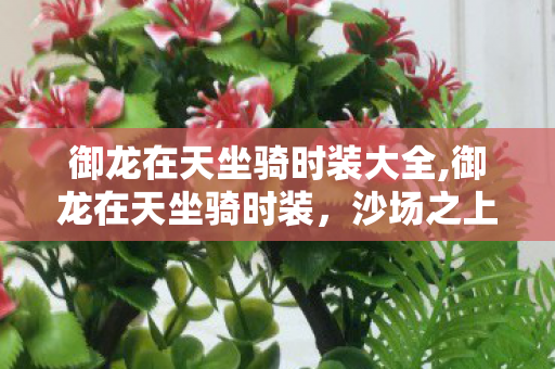 御龙在天坐骑时装大全,御龙在天坐骑时装，沙场之上的个性符号