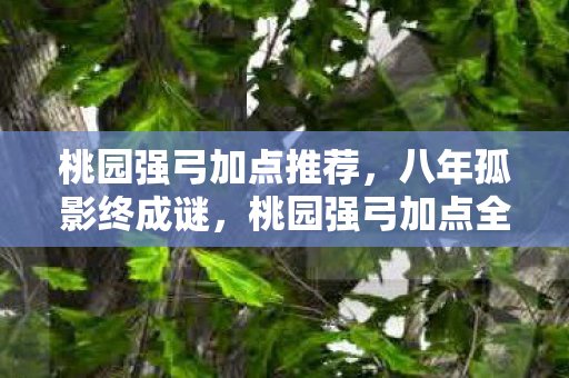 桃园强弓加点推荐,八年孤影终成谜,桃园强弓加点全攻略竟成泪目绝响 桃园强弓加点推荐,八年孤影终成谜,桃园强弓加点全攻略竟成泪目绝响