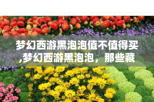 梦幻西游黑泡泡值不值得买,梦幻西游黑泡泡，那些藏在游戏里的专属回忆