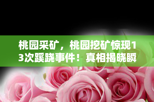 桃园采矿,桃园挖矿惊现13次蹊跷事件!真相揭晓瞬间,让人后背发凉! 桃园采矿,桃园挖矿惊现13次蹊跷事件!真相揭晓瞬间,让人后背发凉!
