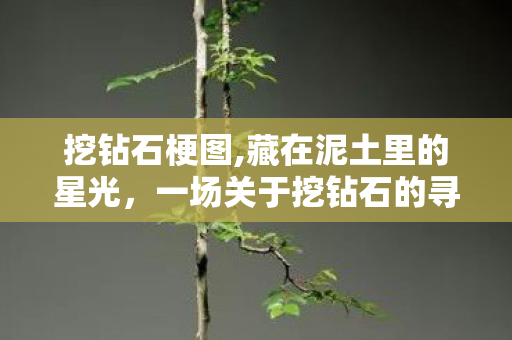 挖钻石梗图,藏在泥土里的星光,一场关于挖钻石的寻常邂逅 挖钻石梗图,藏在泥土里的星光,一场关于挖钻石的寻常邂逅