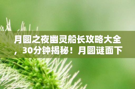 月圆之夜幽灵船长攻略大全,30分钟揭秘!月圆谜面下幽灵船长之死,泪目真相终现 月圆之夜幽灵船长攻略大全,30分钟揭秘!月圆谜面下幽灵船长之死,泪目真相终现