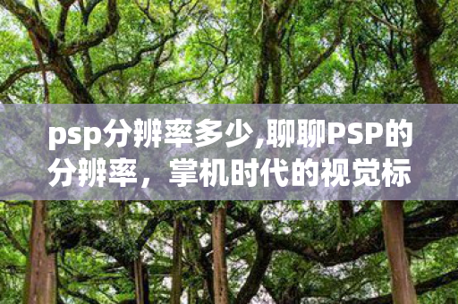 psp分辨率多少,聊聊PSP的分辨率,掌机时代的视觉标尺 psp分辨率多少,聊聊PSP的分辨率,掌机时代的视觉标尺