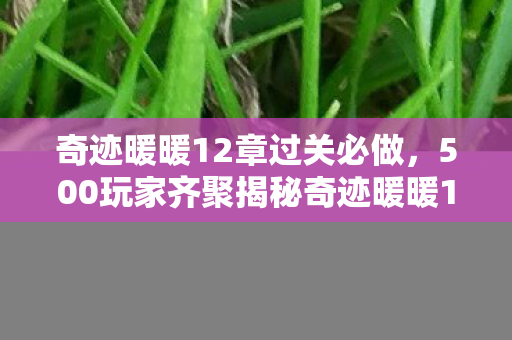 奇迹暖暖12章过关必做,500玩家齐聚揭秘奇迹暖暖12章!疑点重重,大神都绷不住了! 奇迹暖暖12章过关必做,500玩家齐聚揭秘奇迹暖暖12章!疑点重重,大神都绷不住了!