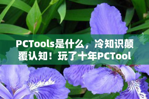 PCTools是什么，冷知识颠覆认知！玩了十年PCTools，真相让我目瞪口呆