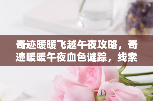 奇迹暖暖飞越午夜攻略,奇迹暖暖午夜血色谜踪,线索交织悬案起,毛骨悚然真相隐 奇迹暖暖飞越午夜攻略,奇迹暖暖午夜血色谜踪,线索交织悬案起,毛骨悚然真相隐