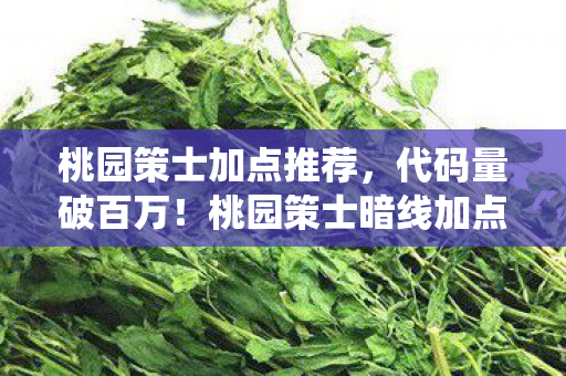 桃园策士加点推荐,代码量破百万!桃园策士暗线加点法,头皮发麻的战场统治术 桃园策士加点推荐,代码量破百万!桃园策士暗线加点法,头皮发麻的战场统治术