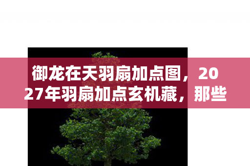 御龙在天羽扇加点图,2027年羽扇加点玄机藏,那些凌晨的等你让我鼻子一酸 御龙在天羽扇加点图,2027年羽扇加点玄机藏,那些凌晨的等你让我鼻子一酸