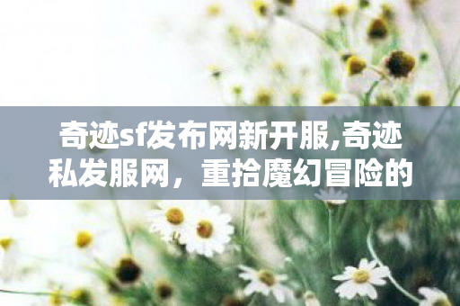 奇迹sf发布网新开服,奇迹私发服网,重拾魔幻冒险的纯粹乐趣 奇迹sf发布网新开服,奇迹私发服网,重拾魔幻冒险的纯粹乐趣