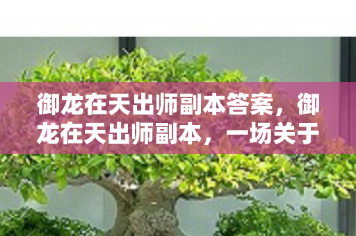御龙在天出师副本答案,御龙在天出师副本,一场关于沉迷的心理实验,细思极恐的自我麻醉 御龙在天出师副本答案,御龙在天出师副本,一场关于沉迷的心理实验,细思极恐的自我麻醉