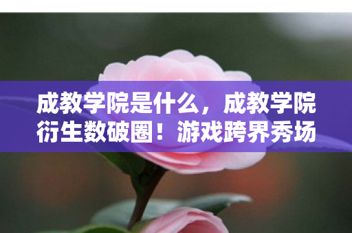 成教学院是什么,成教学院衍生数破圈!游戏跨界秀场综艺,意想不到的联名风暴来袭! 成教学院是什么,成教学院衍生数破圈!游戏跨界秀场综艺,意想不到的联名风暴来袭!