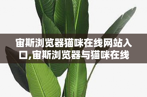宙斯浏览器猫咪在线网站入口,宙斯浏览器与猫咪在线，解锁治愈系网络浏览新体验