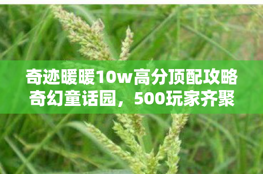 奇迹暖暖10w高分顶配攻略奇幻童话园,500玩家齐聚揭秘!奇迹暖暖10-6疑点重重,大神都绷不住了! 奇迹暖暖10w高分顶配攻略奇幻童话园,500玩家齐聚揭秘!奇迹暖暖10-6疑点重重,大神都绷不住了!