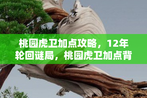 桃园虎卫加点攻略,12年轮回谜局,桃园虎卫加点背后的血泪史诗,今夜泪目重温 桃园虎卫加点攻略,12年轮回谜局,桃园虎卫加点背后的血泪史诗,今夜泪目重温