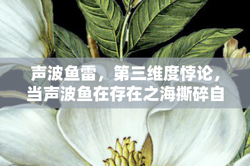 声波鱼雷，第三维度悖论，当声波鱼在存在之海撕碎自由假面，灵魂震颤！