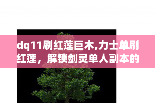 dq11刷红莲巨木,力士单刷红莲，解锁剑灵单人副本的硬核玩法