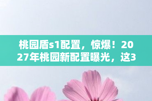 桃园盾s1配置,惊爆!2027年桃园新配置曝光,这3大惊喜让你直呼过瘾? 桃园盾s1配置,惊爆!2027年桃园新配置曝光,这3大惊喜让你直呼过瘾?