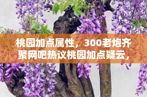 桃园加点属性,300老炮齐聚网吧热议桃园加点疑云,这操作我当场绷不住! 桃园加点属性,300老炮齐聚网吧热议桃园加点疑云,这操作我当场绷不住!