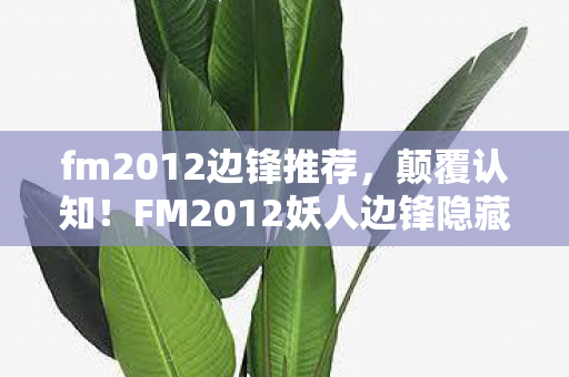 fm2012边锋推荐,颠覆认知!FM2012妖人边锋隐藏设定大揭秘,冷知识让你目瞪口呆 fm2012边锋推荐,颠覆认知!FM2012妖人边锋隐藏设定大揭秘,冷知识让你目瞪口呆