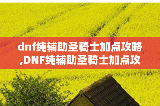 dnf纯辅助圣骑士加点攻略,DNF纯辅助圣骑士加点攻略,构筑团队的坚实后盾 dnf纯辅助圣骑士加点攻略,DNF纯辅助圣骑士加点攻略,构筑团队的坚实后盾