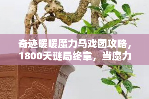 奇迹暖暖魔力马戏团攻略,1800天谜局终章,当魔力马戏团的幕布落下时,谁在幕后泪目? 奇迹暖暖魔力马戏团攻略,1800天谜局终章,当魔力马戏团的幕布落下时,谁在幕后泪目?
