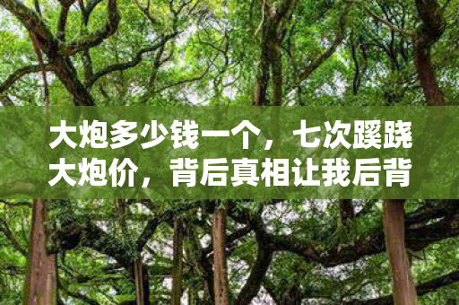 大炮多少钱一个,七次蹊跷大炮价,背后真相让我后背发凉! 大炮多少钱一个,七次蹊跷大炮价,背后真相让我后背发凉!