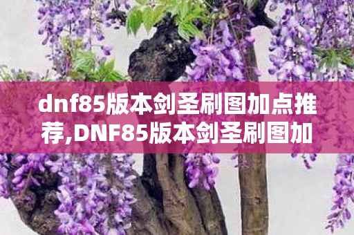 dnf85版本剑圣刷图加点推荐,DNF85版本剑圣刷图加点指南,打造高效输出的剑神 dnf85版本剑圣刷图加点推荐,DNF85版本剑圣刷图加点指南,打造高效输出的剑神