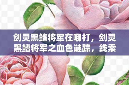剑灵黑鳍将军在哪打,剑灵黑鳍将军之血色谜踪,线索交织的悬案,毛骨悚然真相待揭 剑灵黑鳍将军在哪打,剑灵黑鳍将军之血色谜踪,线索交织的悬案,毛骨悚然真相待揭