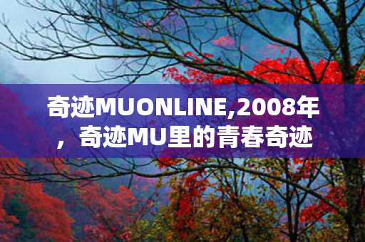 奇迹MUONLINE,2008年,奇迹MU里的青春奇迹 奇迹MUONLINE,2008年,奇迹MU里的青春奇迹