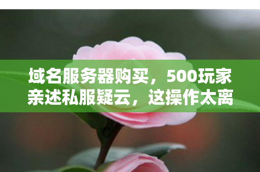 域名服务器购买,500玩家亲述私服疑云,这操作太离谱,老玩家都绷不住了! 域名服务器购买,500玩家亲述私服疑云,这操作太离谱,老玩家都绷不住了!