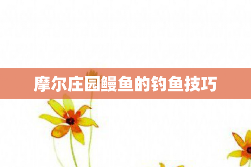 摩尔庄园鳗鱼的钓鱼技巧 摩尔庄园鳗鱼的钓鱼技巧