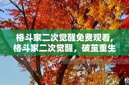 格斗家二次觉醒免费观看,格斗家二次觉醒,破茧重生的力量跃迁 格斗家二次觉醒免费观看,格斗家二次觉醒,破茧重生的力量跃迁
