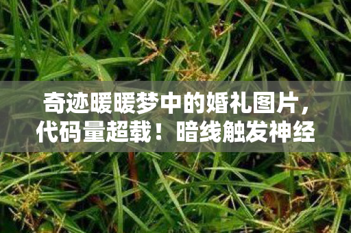 奇迹暖暖梦中的婚礼图片,代码量超载!暗线触发神经共振,这场婚礼让玩家集体头皮发麻 奇迹暖暖梦中的婚礼图片,代码量超载!暗线触发神经共振,这场婚礼让玩家集体头皮发麻