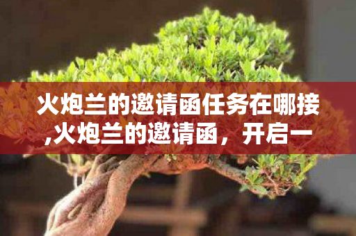 火炮兰的邀请函任务在哪接,火炮兰的邀请函,开启一场充满挑战的冒险 火炮兰的邀请函任务在哪接,火炮兰的邀请函,开启一场充满挑战的冒险