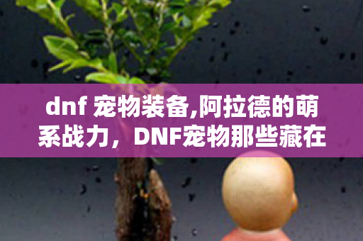 dnf 宠物装备,阿拉德的萌系战力,DNF宠物那些藏在细节里的小确幸 dnf 宠物装备,阿拉德的萌系战力,DNF宠物那些藏在细节里的小确幸