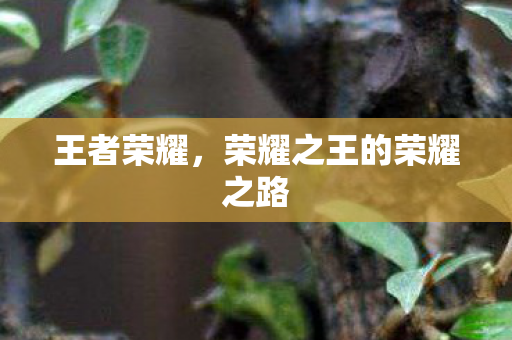 王者荣耀，荣耀之王的荣耀之路