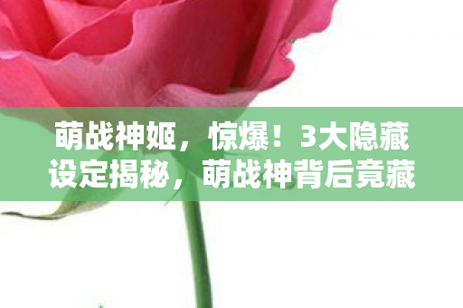 萌战神姬，惊爆！3大隐藏设定揭秘，萌战神背后竟藏着如此震撼真相？