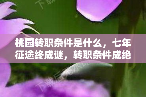 桃园转职条件是什么,七年征途终成谜,转职条件成绝响,泪目送别桃园梦 桃园转职条件是什么,七年征途终成谜,转职条件成绝响,泪目送别桃园梦