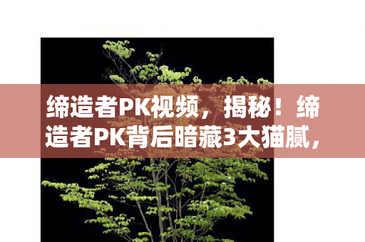 缔造者PK视频,揭秘!缔造者PK背后暗藏3大猫腻,这上头玩法谁玩谁上当! 缔造者PK视频,揭秘!缔造者PK背后暗藏3大猫腻,这上头玩法谁玩谁上当!