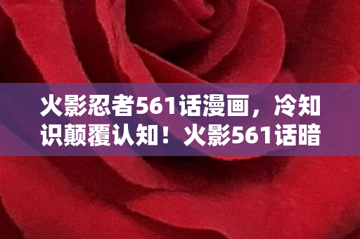 火影忍者561话漫画，冷知识颠覆认知！火影561话暗藏目瞪口呆的炸弹级设定