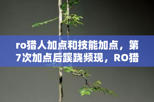 ro猎人加点和技能加点，第7次加点后蹊跷频现，RO猎人后背发凉，这竟是场人性试炼？