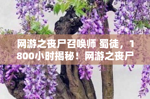 网游之丧尸召唤师 蜀徒,1800小时揭秘!网游之丧尸召唤师谜团终解,泪目真相令人窒息 网游之丧尸召唤师 蜀徒,1800小时揭秘!网游之丧尸召唤师谜团终解,泪目真相令人窒息
