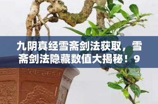 九阴真经雪斋剑法获取,雪斋剑法隐藏数值大揭秘!99%玩家不知的3大暴击机制 九阴真经雪斋剑法获取,雪斋剑法隐藏数值大揭秘!99%玩家不知的3大暴击机制
