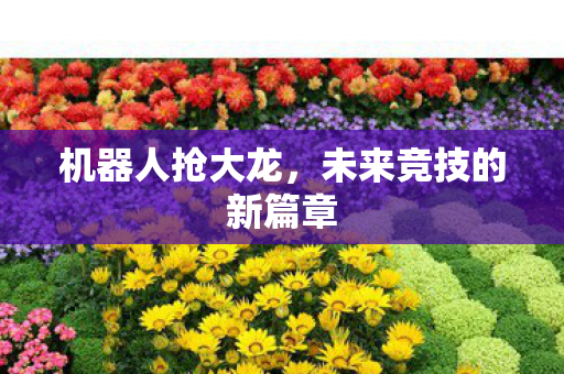 机器人抢大龙,未来竞技的新篇章 机器人抢大龙,未来竞技的新篇章