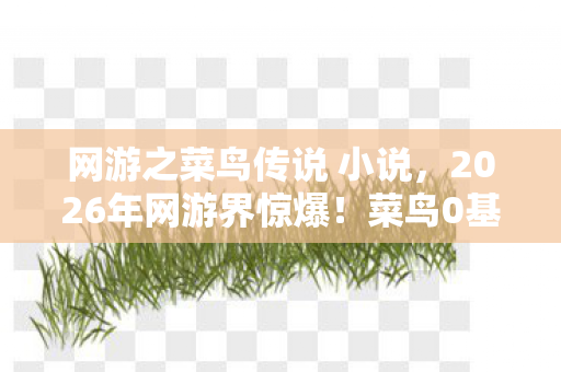 网游之菜鸟传说 小说,2026年网游界惊爆!菜鸟0基础逆袭,背后隐藏何等惊天秘密? 网游之菜鸟传说 小说,2026年网游界惊爆!菜鸟0基础逆袭,背后隐藏何等惊天秘密?