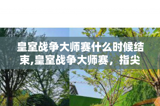 皇室战争大师赛什么时候结束,皇室战争大师赛,指尖之上的电竞荣光 皇室战争大师赛什么时候结束,皇室战争大师赛,指尖之上的电竞荣光