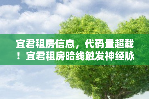宜君租房信息，代码量超载！宜君租房暗线触发神经脉冲警报，头皮发麻的赛博生存法则
