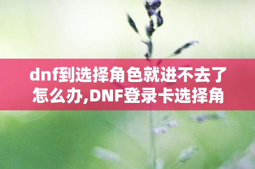 dnf到选择角色就进不去了怎么办,DNF登录卡选择角色界面？实用排查与解决指南